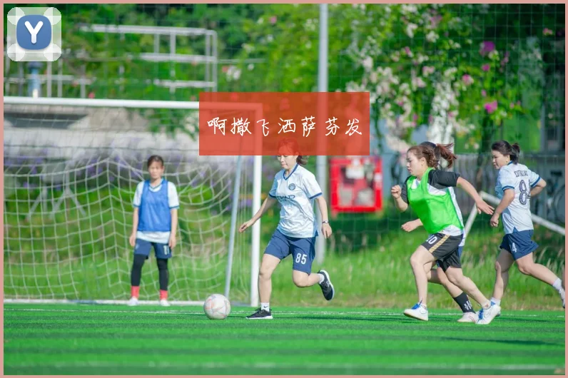 世界杯法国队内讧事件全回顾：从辉煌到崩盘的教训