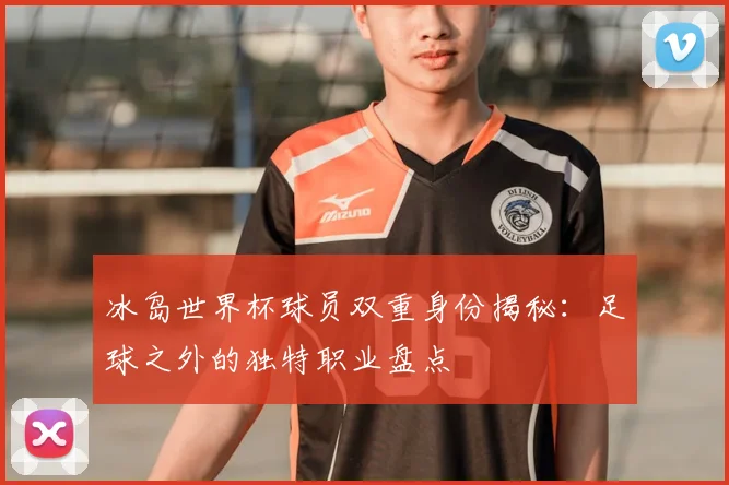 冰岛世界杯球员双重身份揭秘：足球之外的独特职业盘点