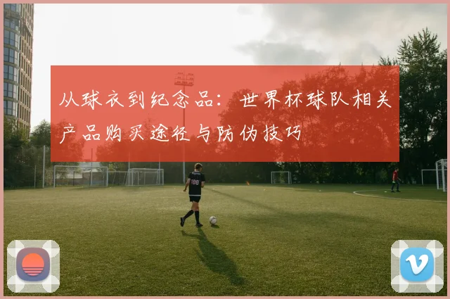 从球衣到纪念品：世界杯球队相关产品购买途径与防伪技巧