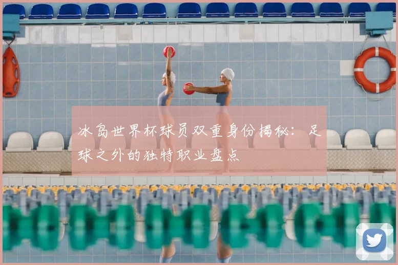 冰岛世界杯球员双重身份揭秘：足球之外的独特职业盘点