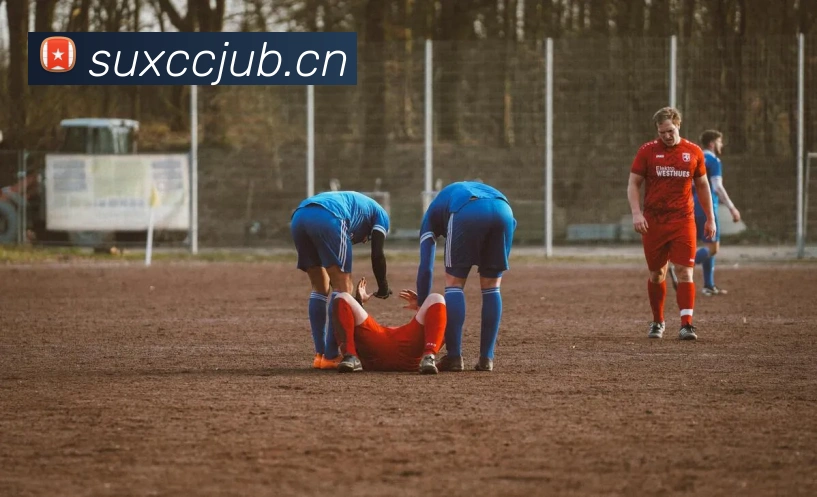 星空平台APP 封面图